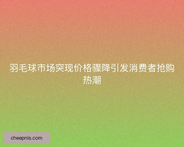 羽毛球市场突现价格骤降引发消费者抢购热潮